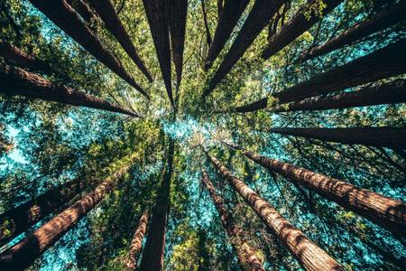 Quelle: Foto von Casey Horner auf Unsplash